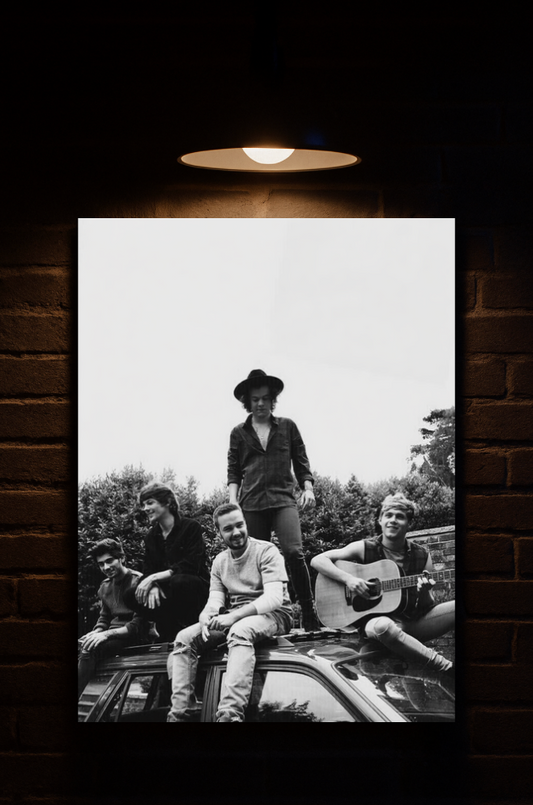 Black and white photo of Zayn Malik, Harry Styles, Liam Payne, Niall Horan, Louis Tomlinson on a car roof with a brick wall background printed on velvet 